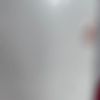 saj__556