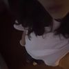 stopbananaaw