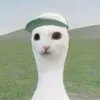 daneuser2