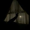 syamll_38