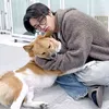 simlay🐕