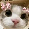 bellamangana