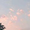 nni_n11