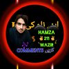 hamzawazir466