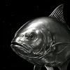 fishda672