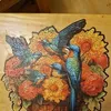 susan.curtis39