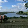 tthuy_0605