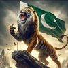 sajjad.ali3673