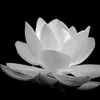 nguyn.th.mai930