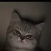 hhhhhhe75