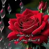 user85150696501866