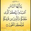 user3444056603774