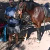 lazaro.cano05
