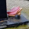 tigrichki_sistrichki