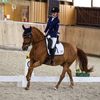 kcl_dressage