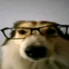 skyzinkkj_