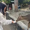 _.gialinhnguyen._