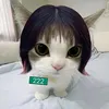 jfrdnsk3