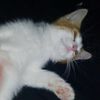luna_20102024