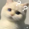 noya_yo