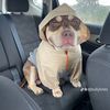breeder_69