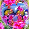 t.inh459