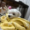 user7102197659596