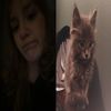 d_addieshome13