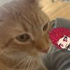 lonlypotao_