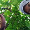 sandana_02