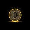 btcbelajar_trader_circle