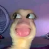 its_gia87