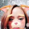 hairpin__zx09