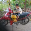 hong_trang123