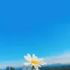 huyreview14