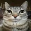 mytrangnek__