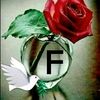 user826603681581