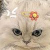 rfah_islmdnaaa.0505