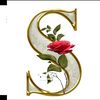 user25844080543510
