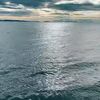tamay_408