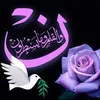 user9865696981324