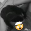 _gak.kenallll