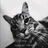 uszr.ayman