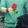 haider.alwaile5