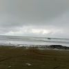endangwahyunisari