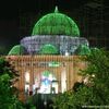 zohan_ali010