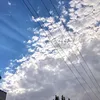 savyarmohamed3