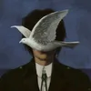 fox_elite_hater