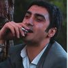 kurtlarvadisi321