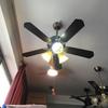 ceilingfan